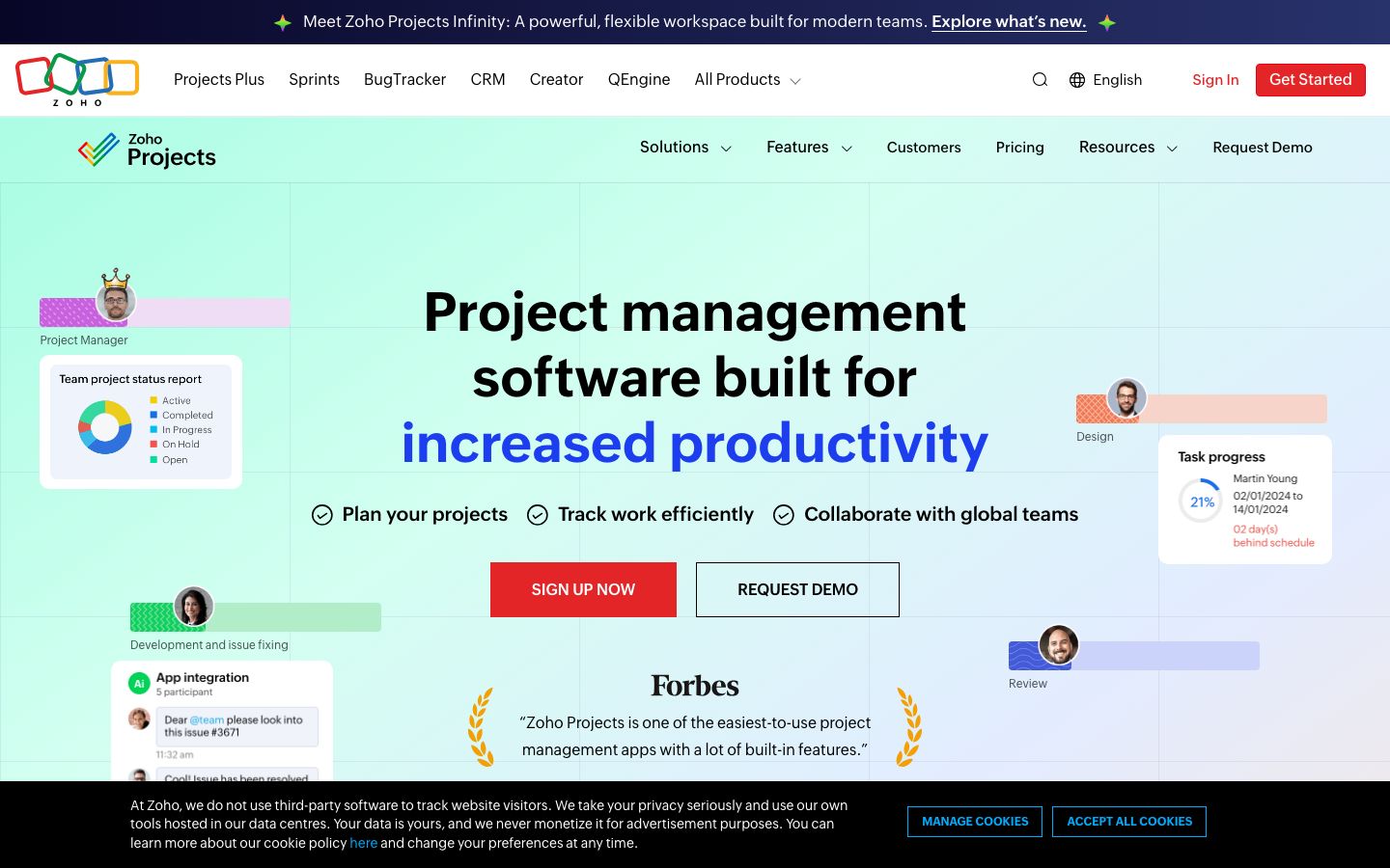 Captura de pantalla del sitio de Zoho Projects